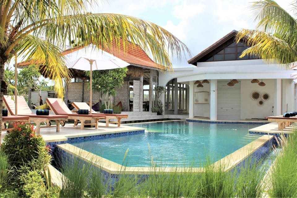 Property building, Natural landscape, Garden, Garden view, Pool view, Swimming pool, sunbed