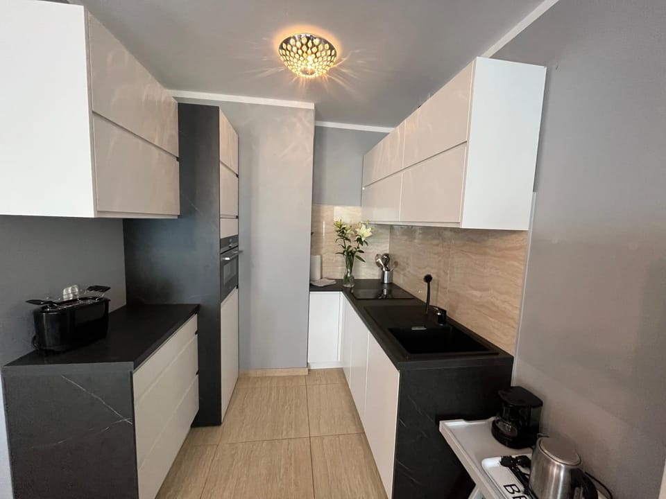 Kitchen or kitchenette, minibar, oven, pet friendly, stove, toaster