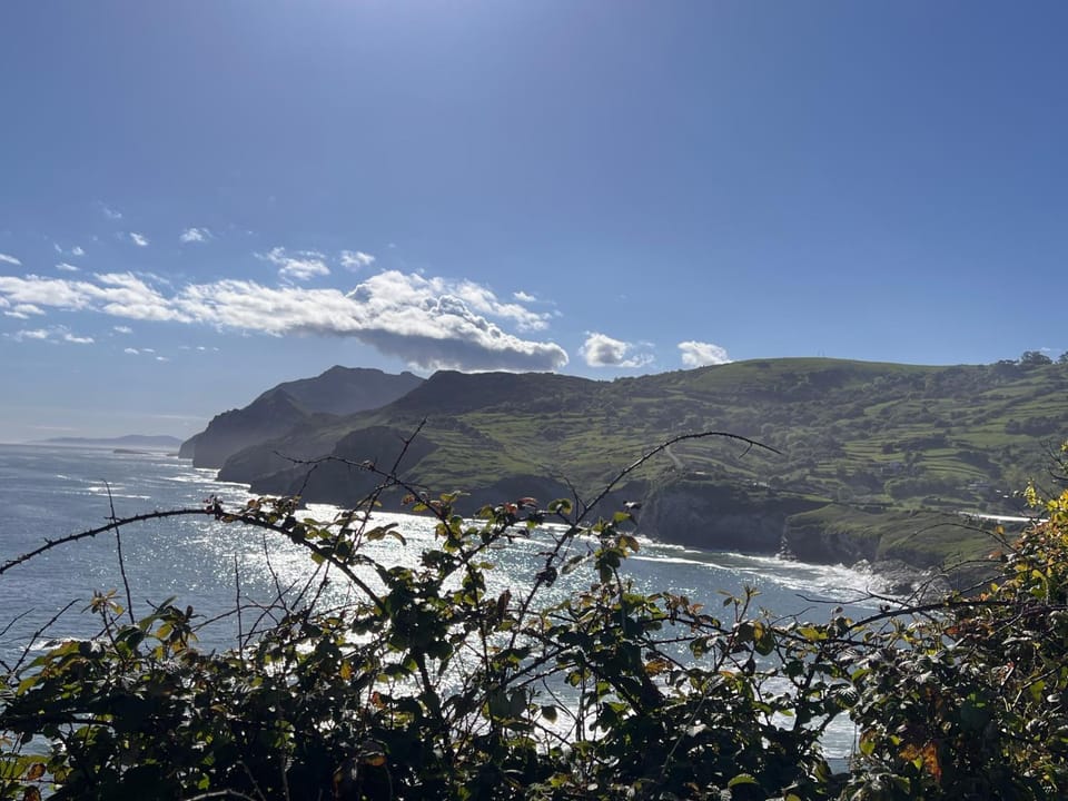 Rooms Laredo Bed and Breakfast in Laredo