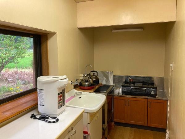 Kitchen or kitchenette