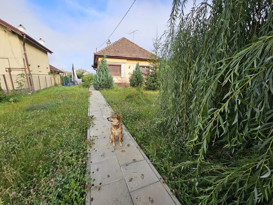 Casuta cu View House in Romania