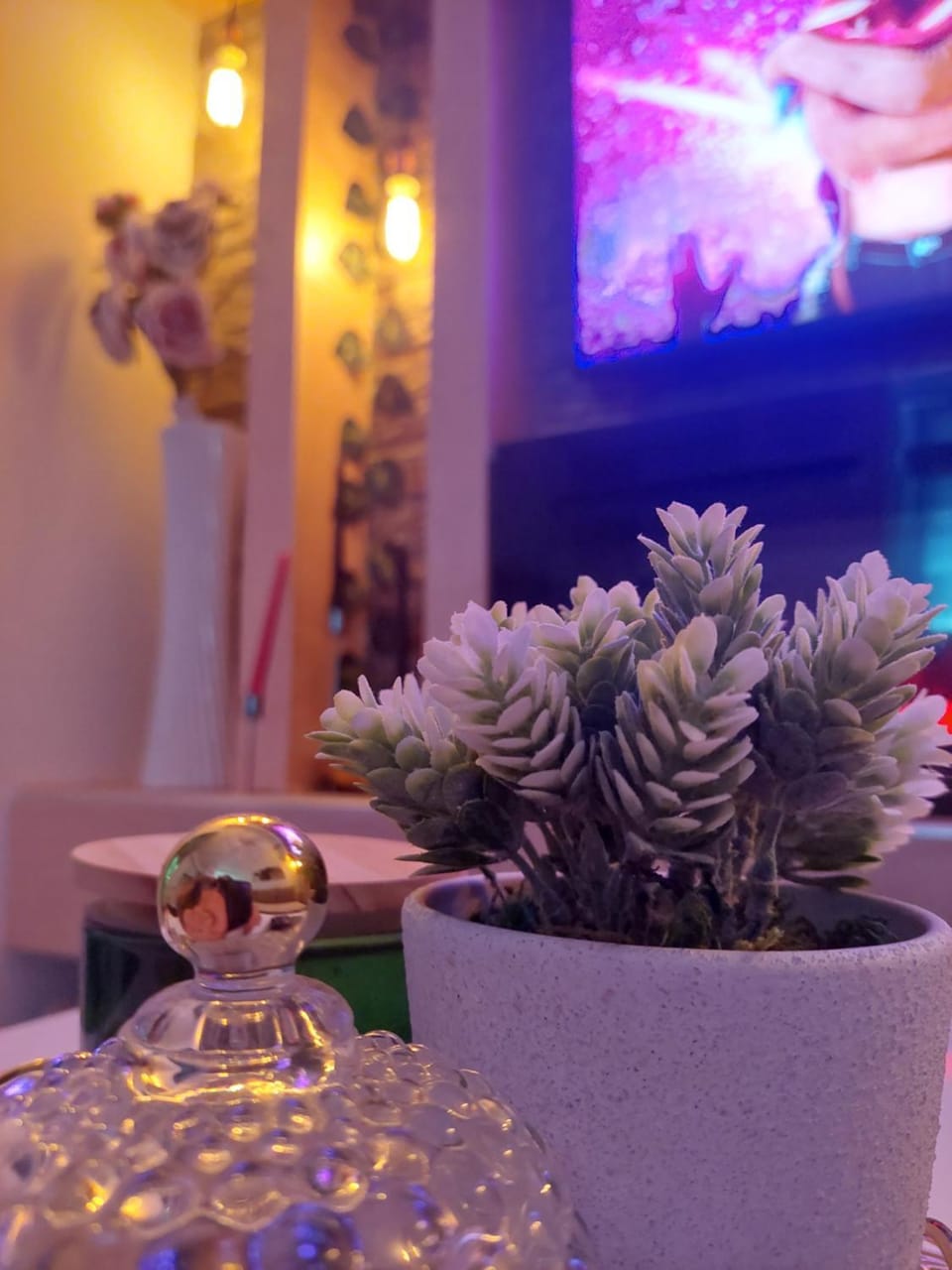 Apartman Star Apartment in Vojvodina