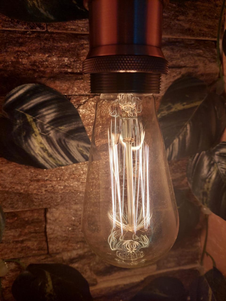 Apartman Star Apartment in Vojvodina