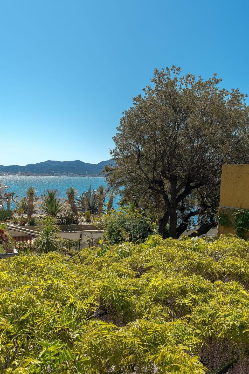 Spring, Garden view, Sea view