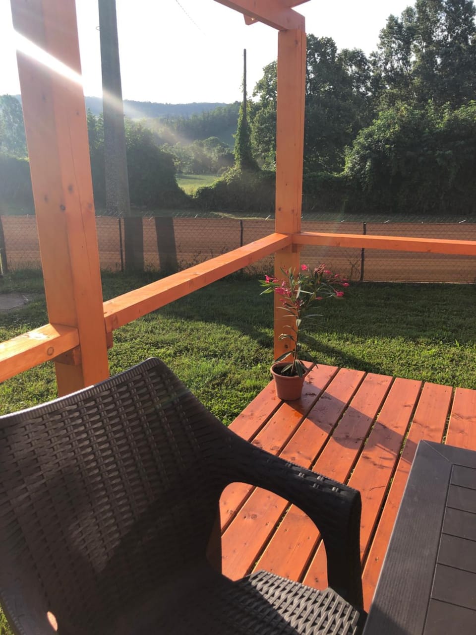 Garden view