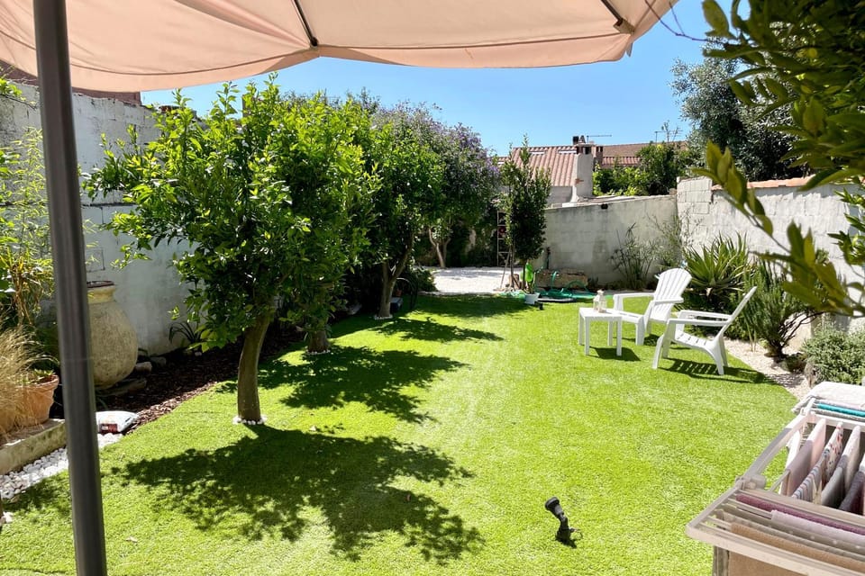 Garden, Garden view, sunbed