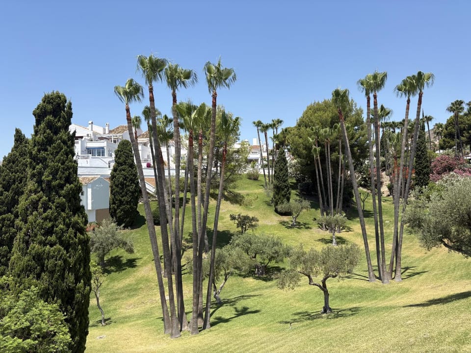 Patio, Garden, Garden view