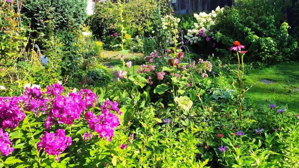 Garden, Garden view