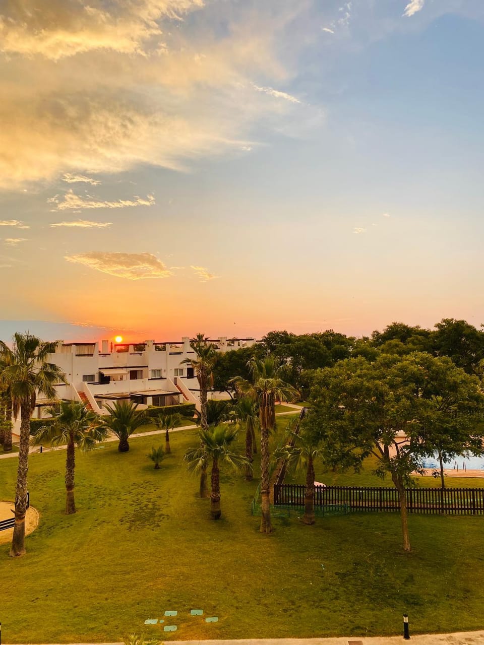 Natural landscape, Garden, Sunrise