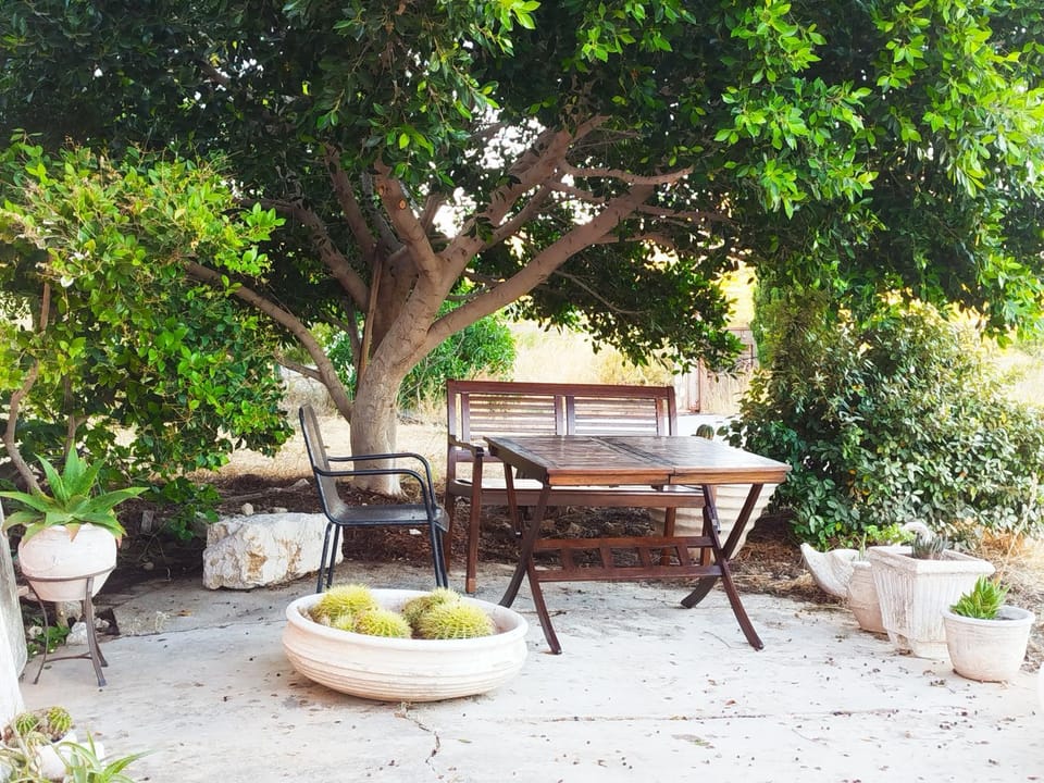 Garden, Seating area, Garden view