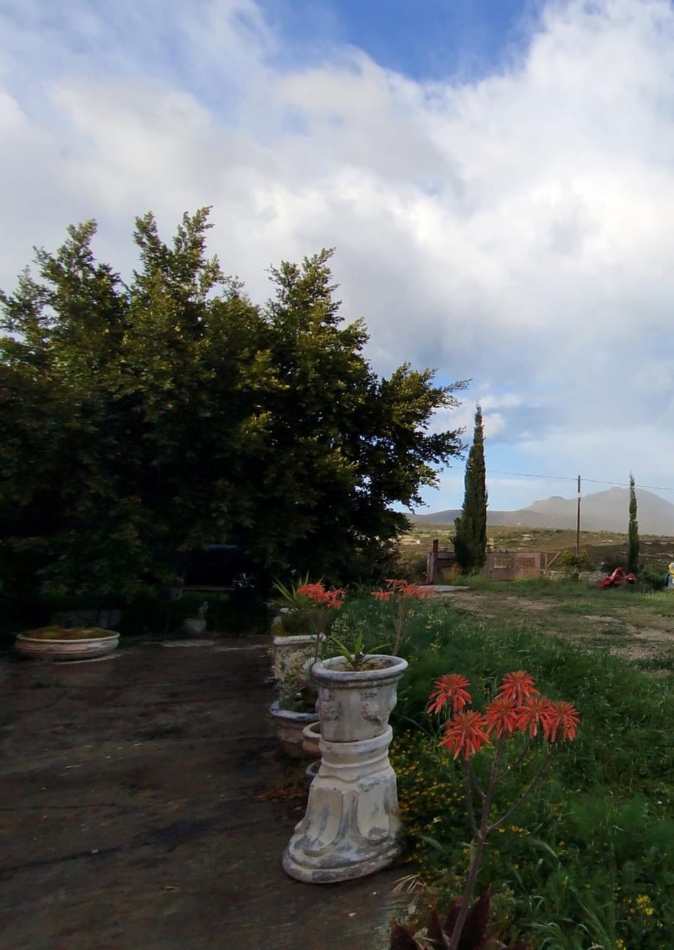 Spring, Garden, Garden view, Location