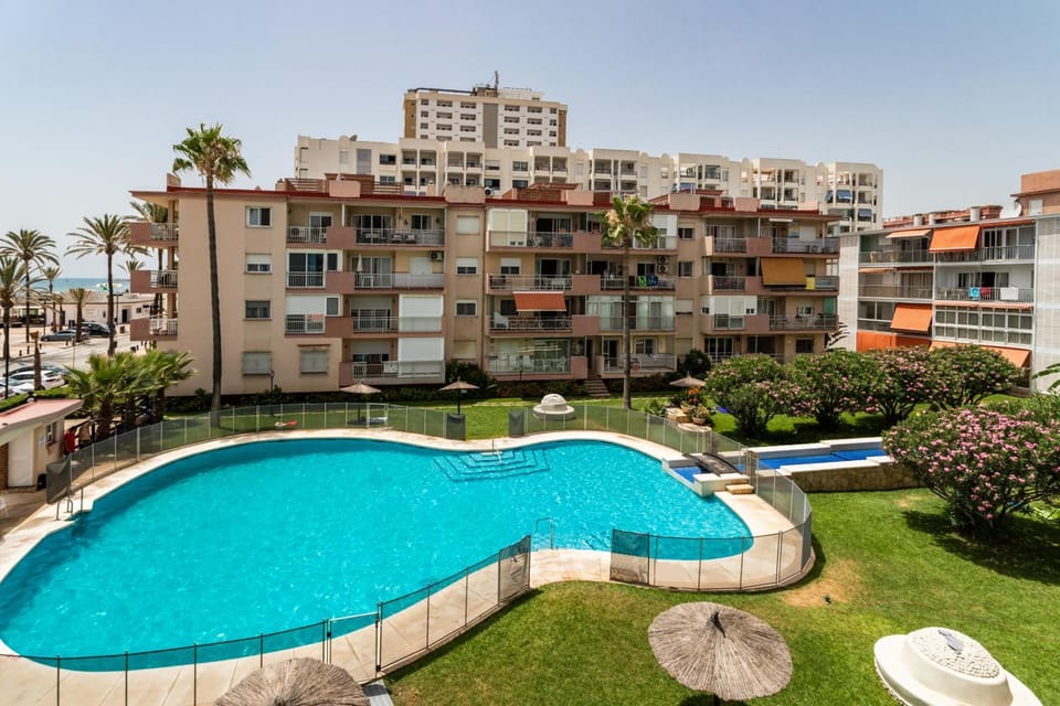 Garden, Pool view, Swimming pool