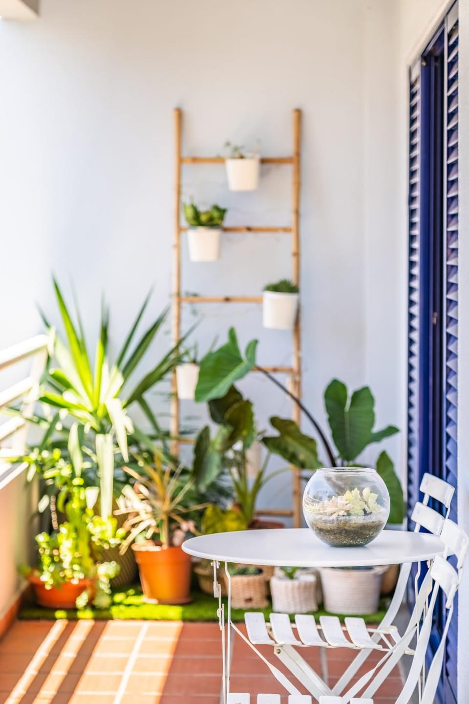 Patio, Balcony/Terrace