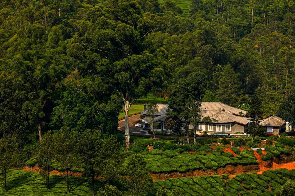 Property building, Mountain view