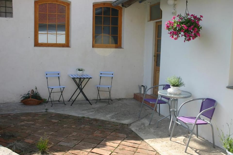 Penzion pod platanem Bed and Breakfast in South Moravian Region