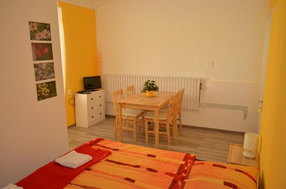 Penzion pod platanem Bed and Breakfast in South Moravian Region