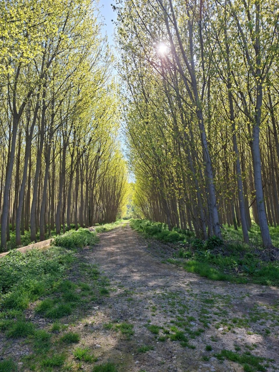 Natural landscape