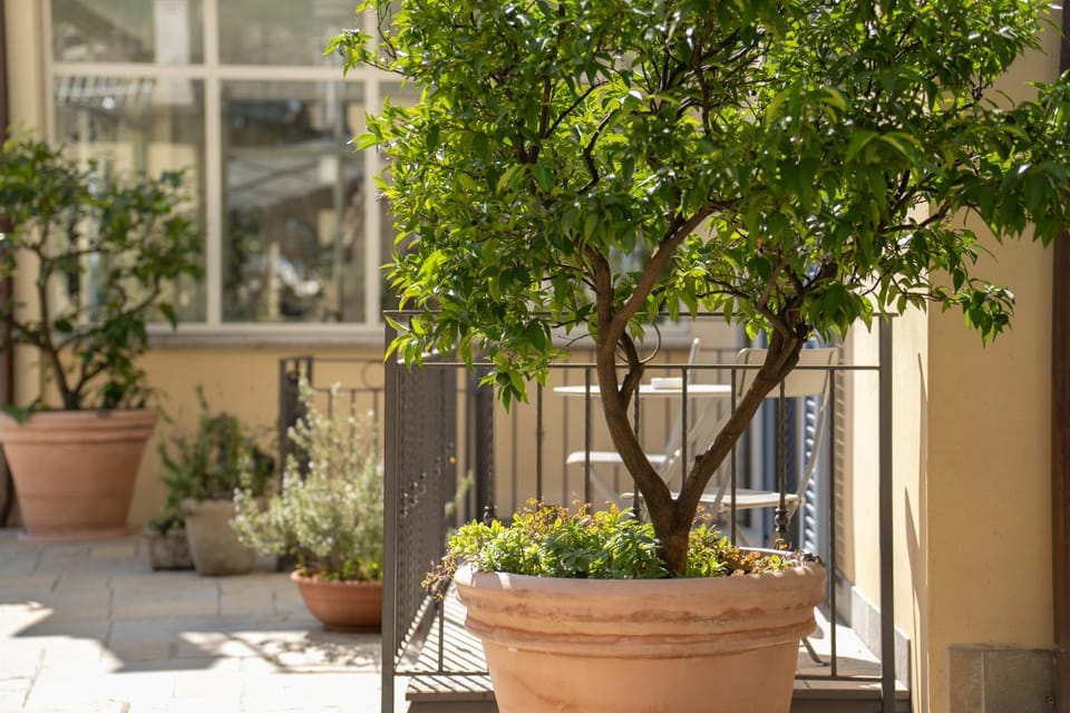 View (from property/room), Decorative detail, Swimming pool