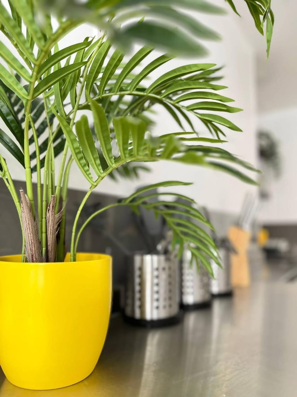 Kitchen or kitchenette, Kitchen or kitchenette