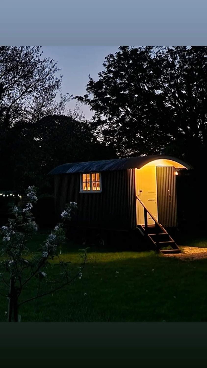 Property building, Night, Natural landscape, Garden