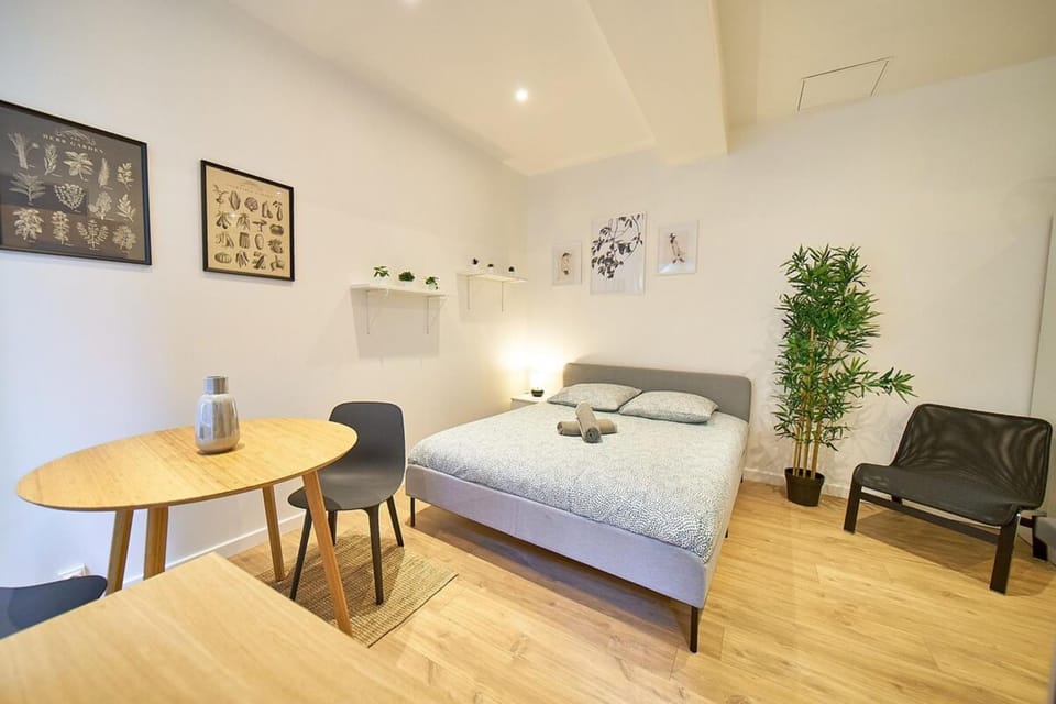 Le Petit Pierre Scize - Quais de Saône Apartment in Lyon