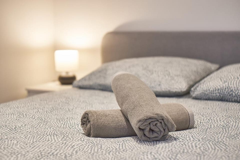 Le Petit Pierre Scize - Quais de Saône Apartment in Lyon