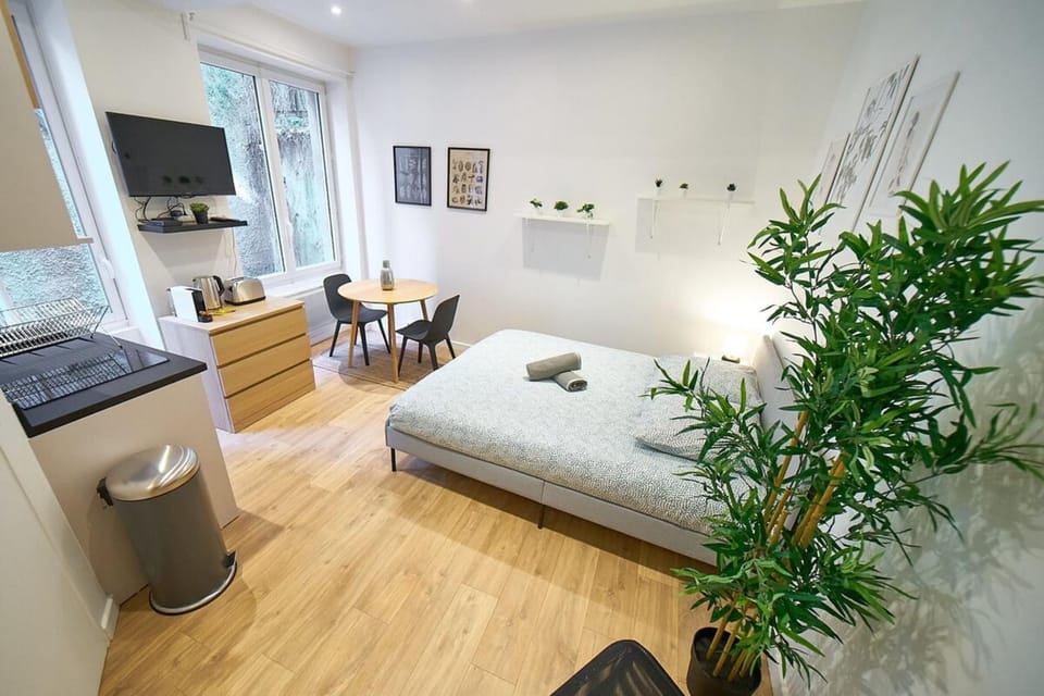 Le Petit Pierre Scize - Quais de Saône Apartment in Lyon