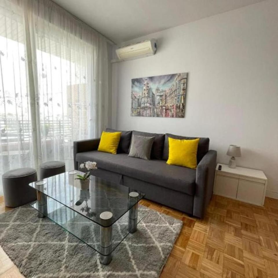 Encanto y Comodidad Cerca del Estadio Bernabéu Apartment in Madrid