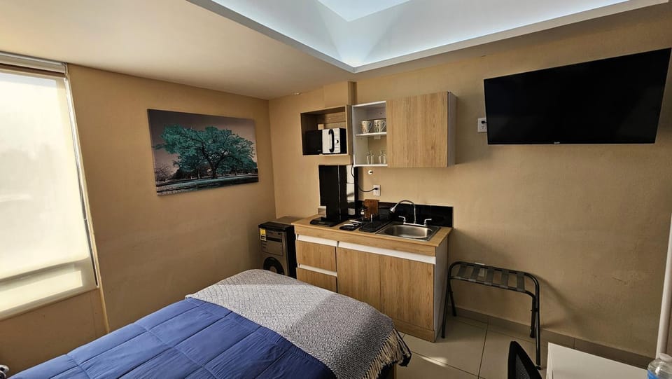 Bed, TV and multimedia, Kitchen or kitchenette, Photo of the whole room, Bedroom, minibar, oven
