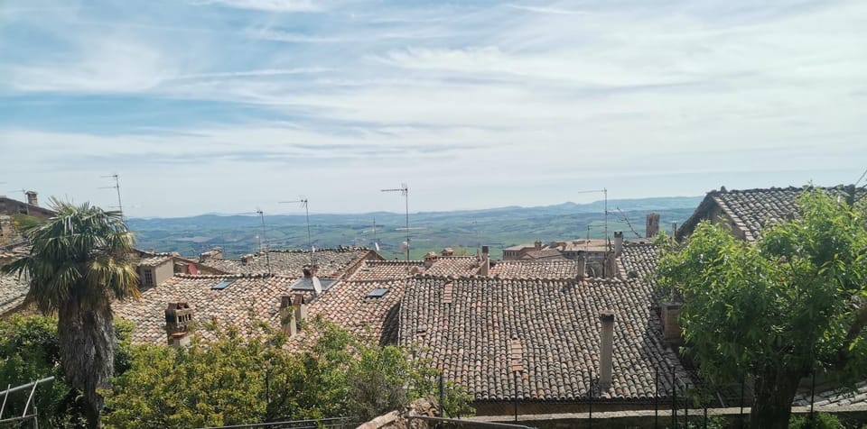 City view, Garden view