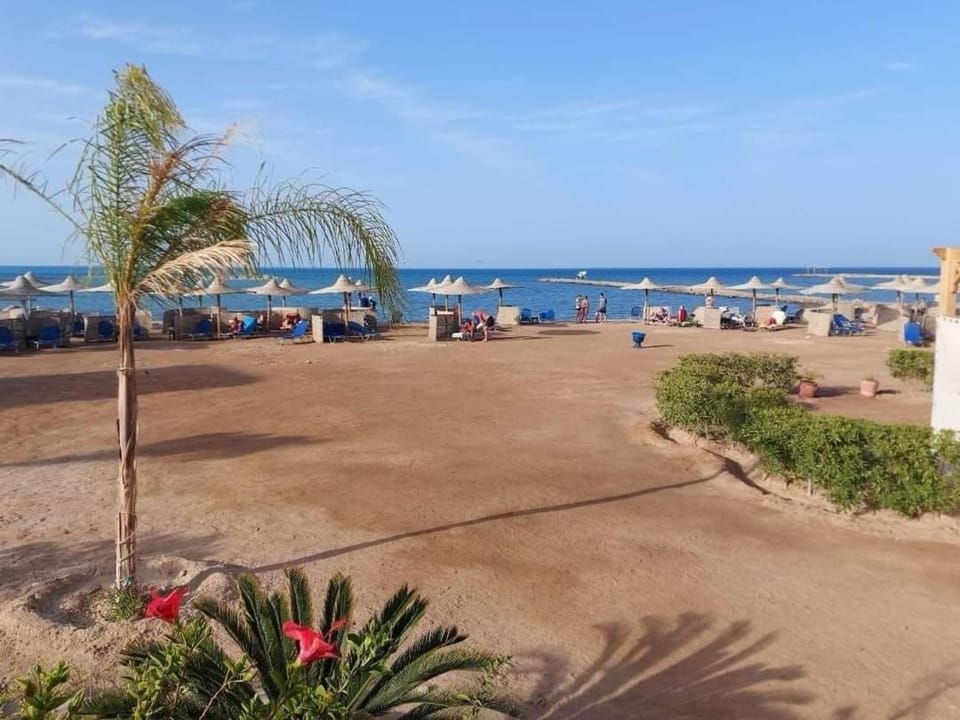 Turtles Beach resort Hurghada Studio view sea view pool private beach Pools anf sunny balcony Apartment hotel in Hurghada