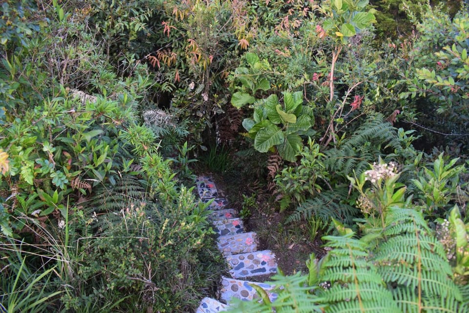 Day, Natural landscape, acessibility