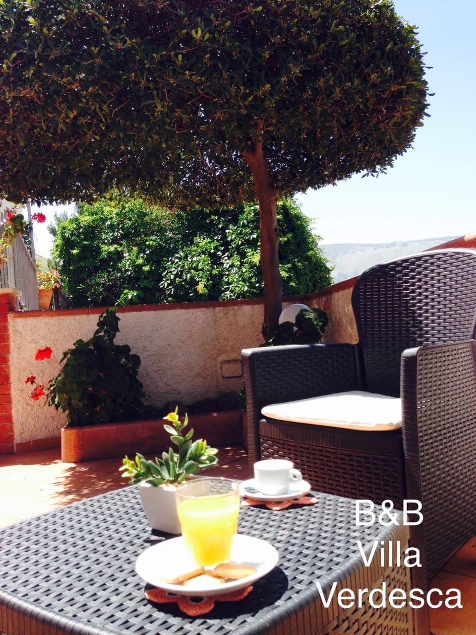 BBQ facilities, Garden