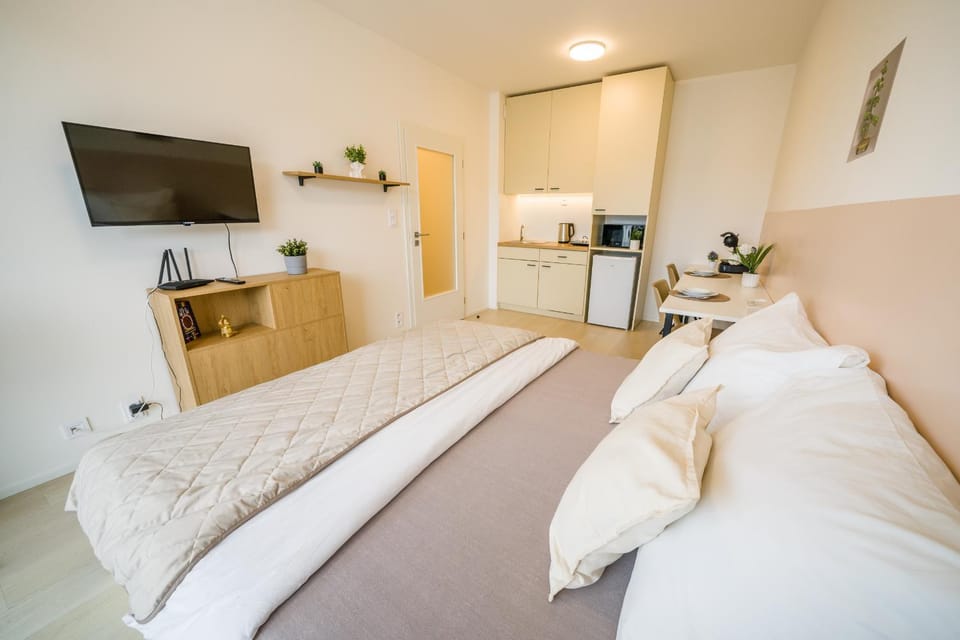 APARTIA apartments Brno-center Apartment in Brno