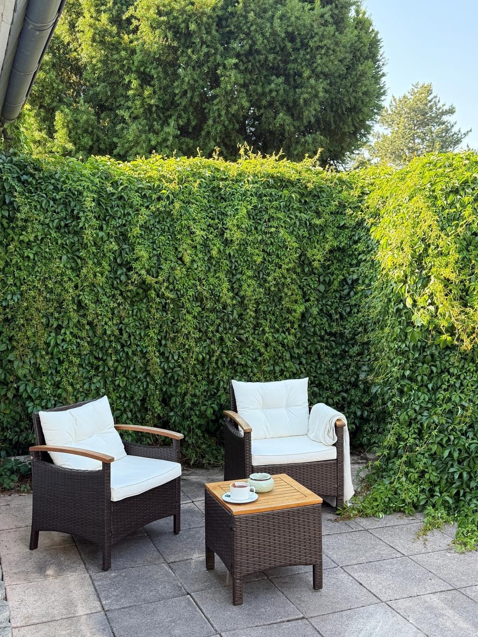 Balcony/Terrace, Seating area