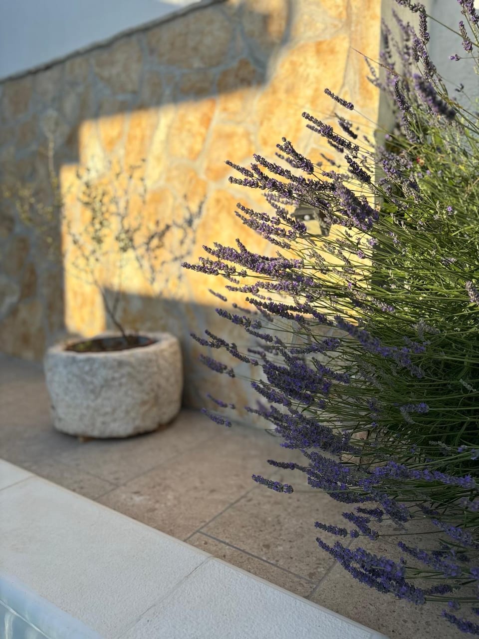 Day, Garden view