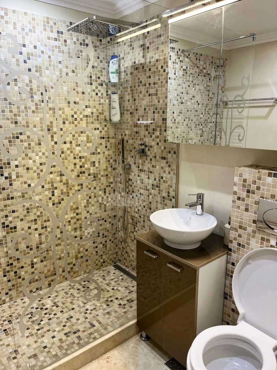 Ultracentral cu terasa Etaj unu Apartment in Romania