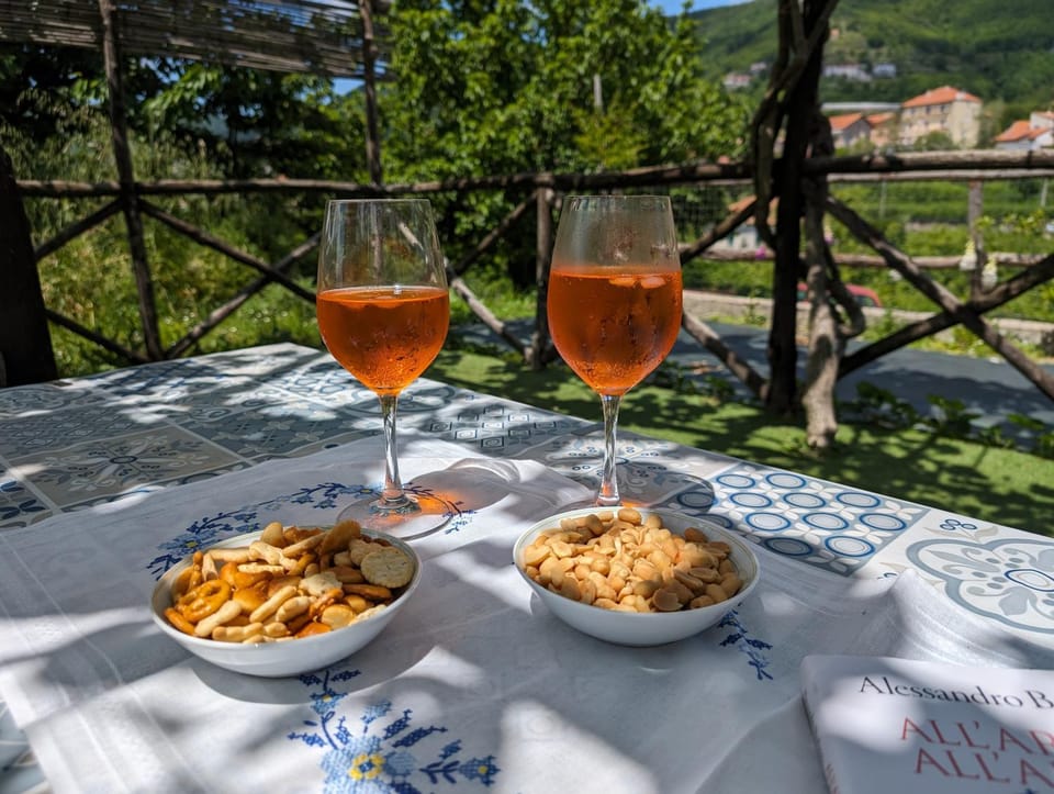 Garden, Mountain view