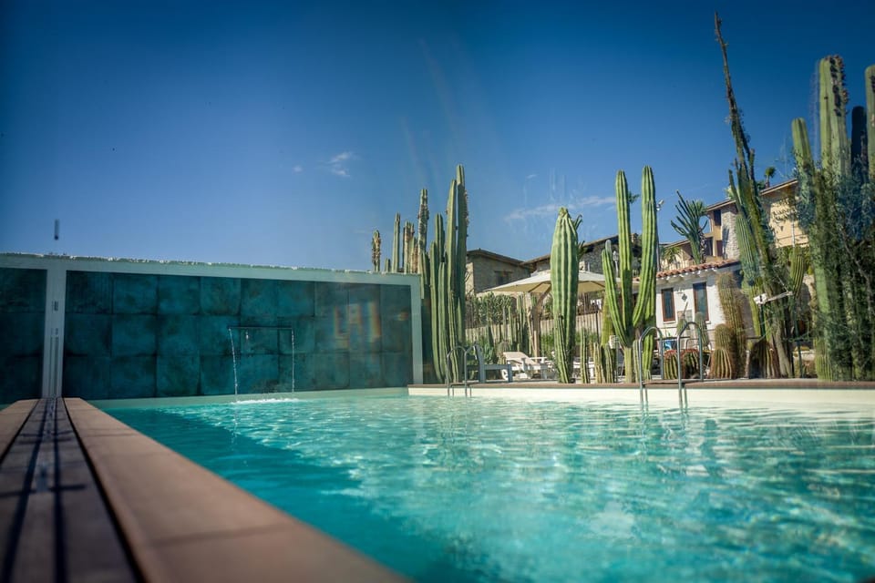 Day, Summer, On site, Swimming pool