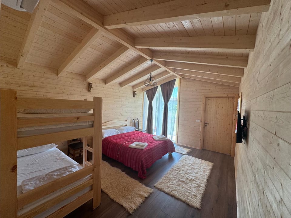 Bed, Photo of the whole room, Bedroom, bunk bed