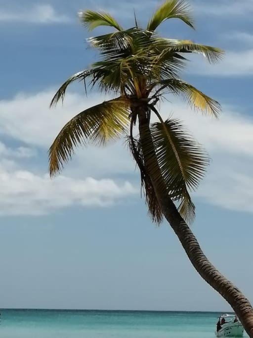 Casa Larimar 214 - Vibe Residence Apartment in Dominicus
