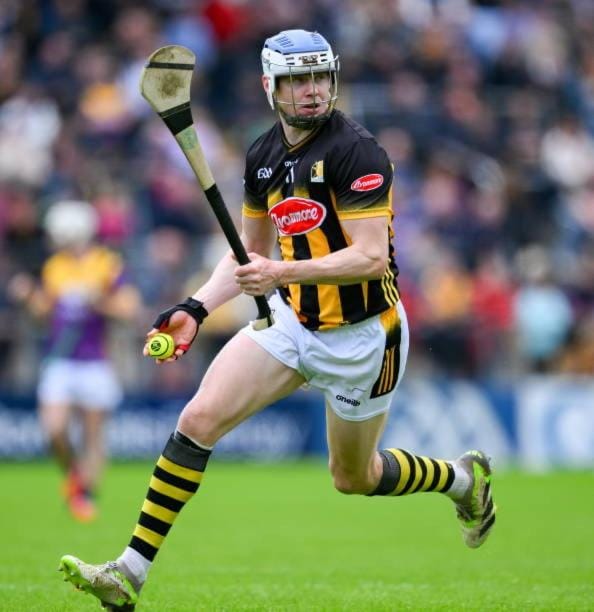 Kilkenny rental The Folly Lodge minutes from city centre R95RYC8 House in County Kilkenny