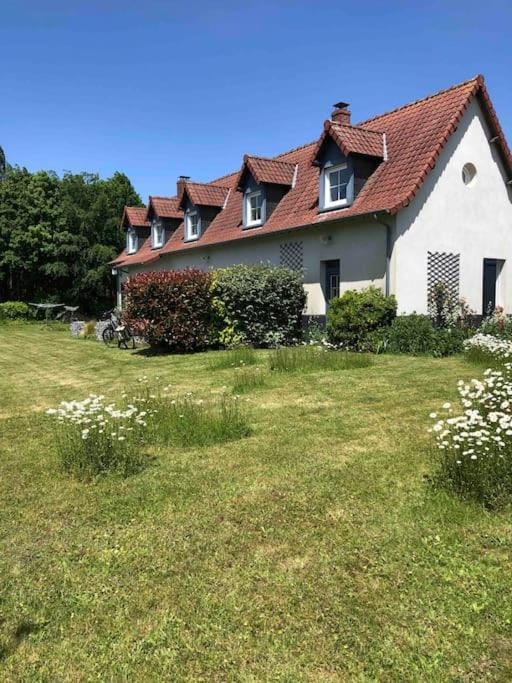 Property building, Garden view