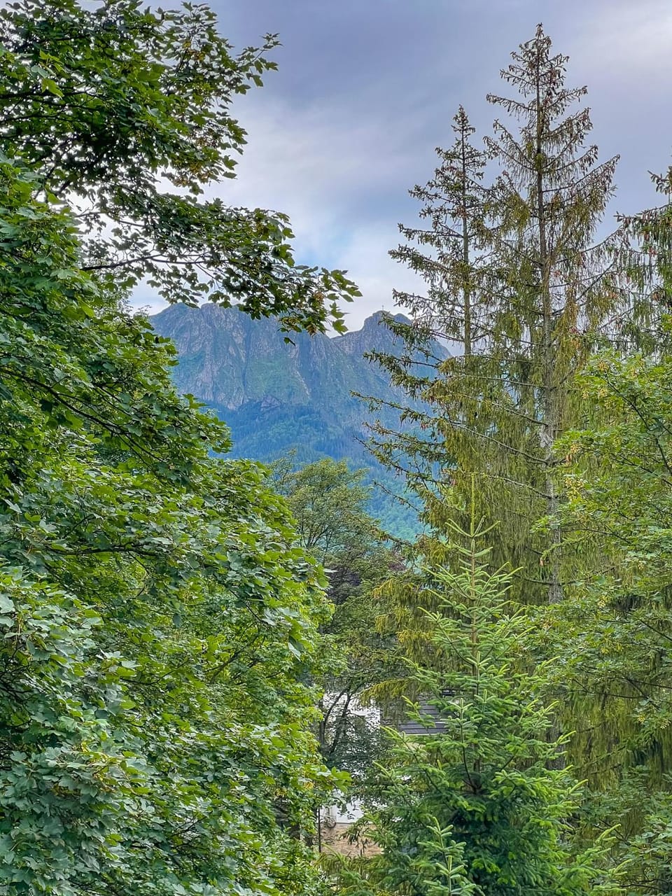 Mountain view