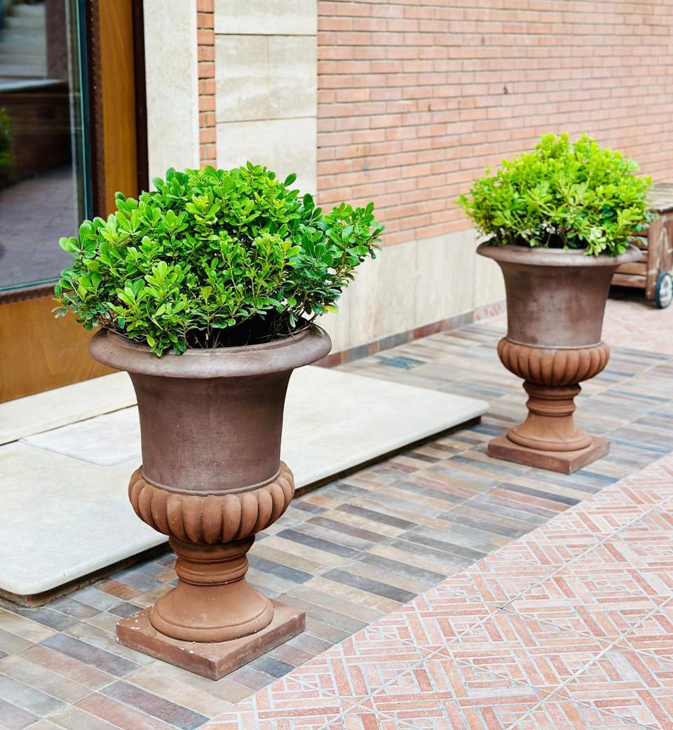 Day, Garden, Garden view