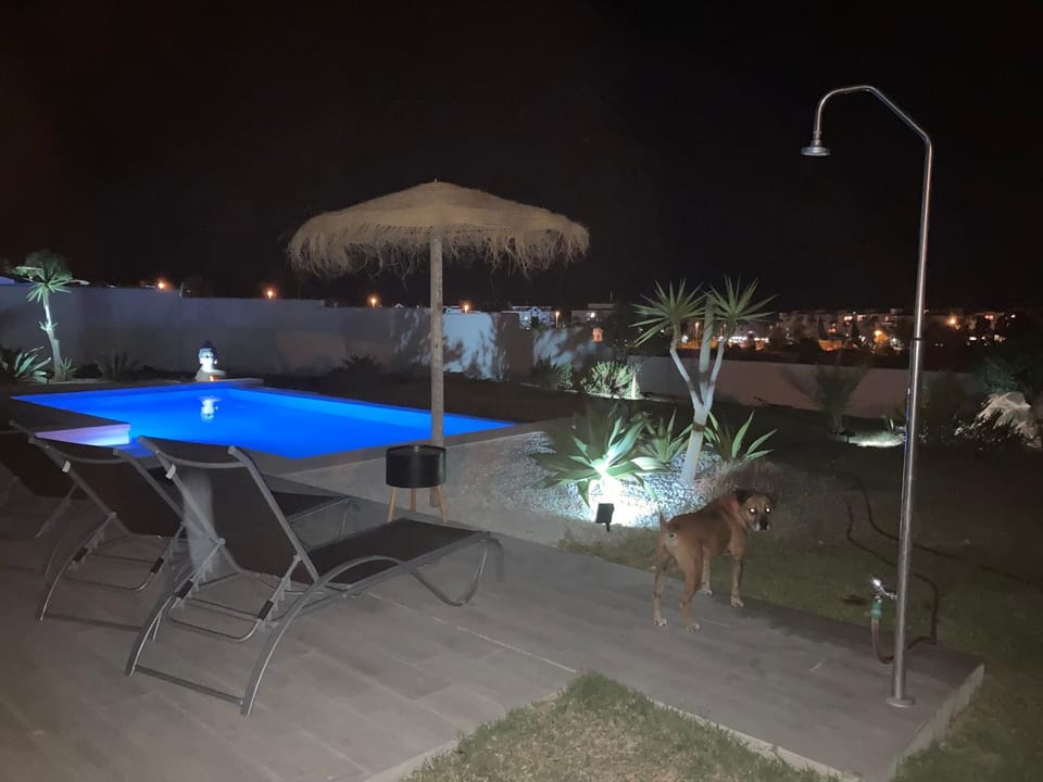 Patio, Night, Swimming pool