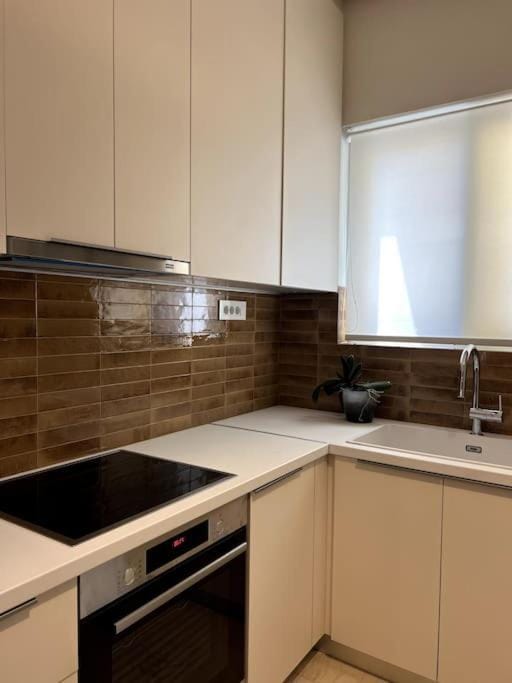 Kitchen or kitchenette, pet friendly