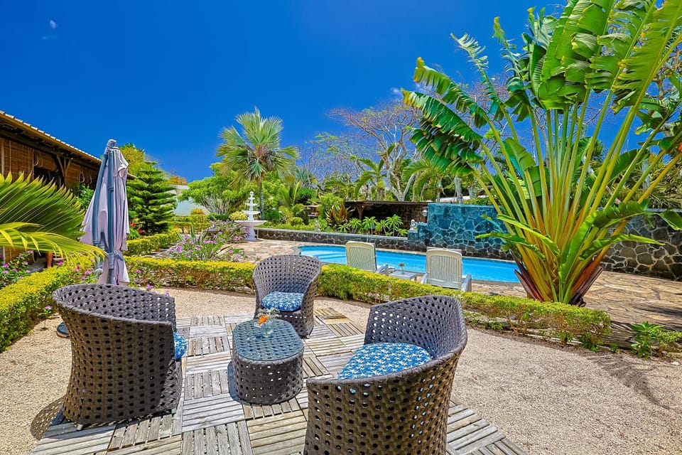 Patio, Garden, Garden view, Pool view, Swimming pool, sunbed