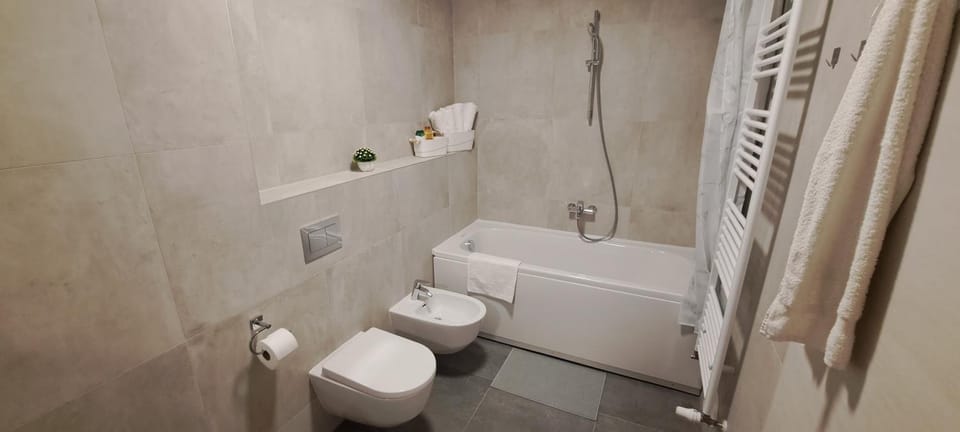 Shower, Toilet, Bathroom, bidet, towels