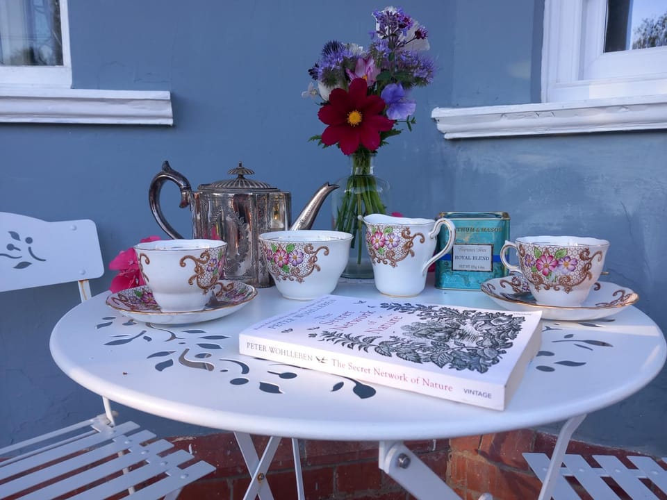 Property building, Coffee/tea facilities, Area and facilities